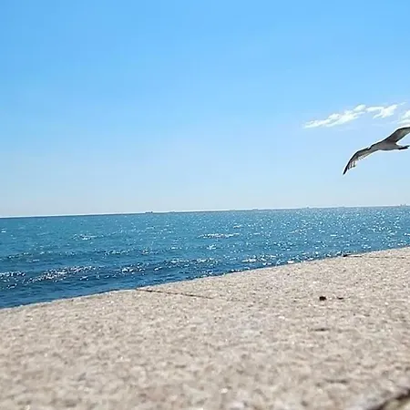 Aqua Luminita Lägenhet Mamaia